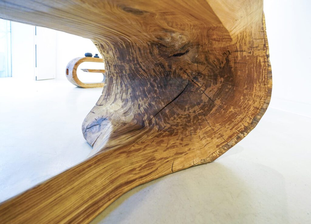 Close-up of underside of OZE showcasing live-edge grain, natural cracks, and sculptural curvature
